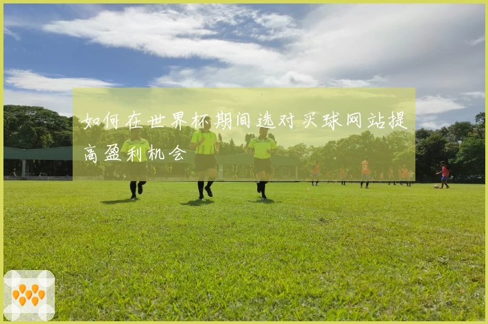 如何在世界杯期间选对买球网站提高盈利机会