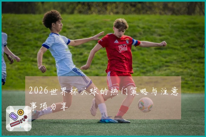 2026世界杯买球的热门策略与注意事项分享