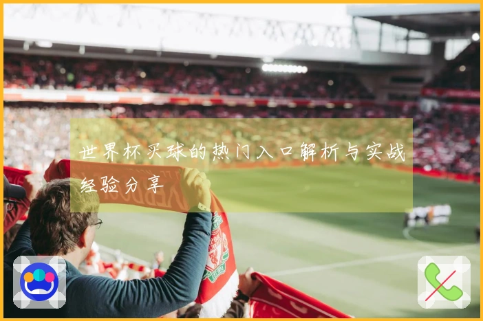 世界杯买球的热门入口解析与实战经验分享