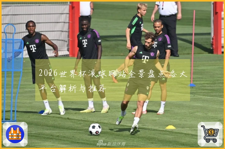 2026世界杯滚球网站全景盘点 各大平台解析与推荐