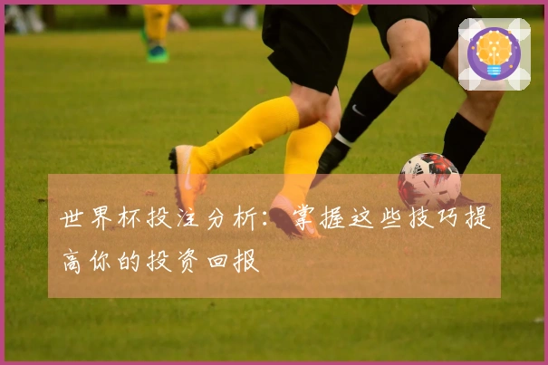 世界杯投注分析：掌握这些技巧提高你的投资回报
