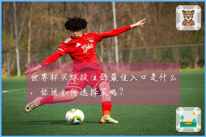 世界杯买球投注的最佳入口是什么，你该如何选择策略？