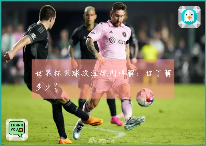 世界杯买球投注规则详解，你了解多少？