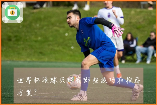 世界杯滚球买球有哪些技巧和推荐方案？