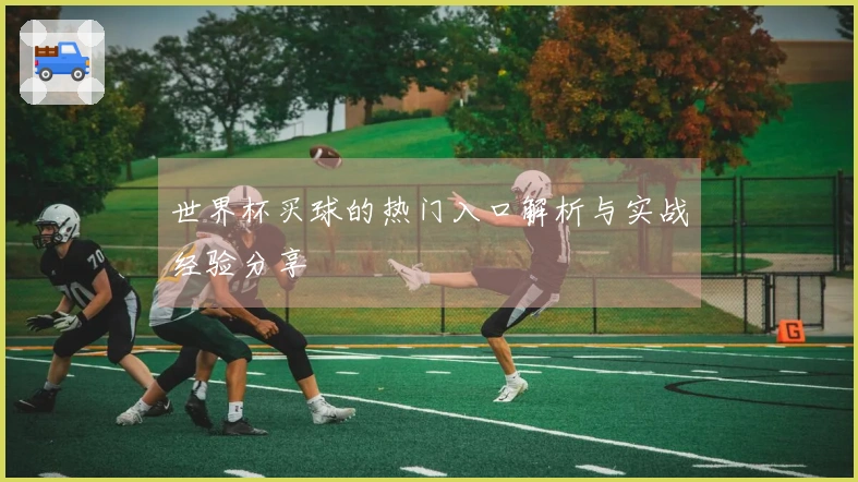 世界杯买球的热门入口解析与实战经验分享