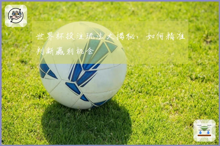 世界杯投注玩法大揭秘，如何精准判断赢利机会