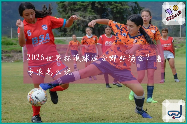 2026世界杯滚球适合哪些场合？看专家怎么说