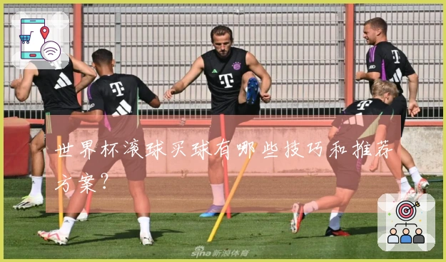世界杯滚球买球有哪些技巧和推荐方案？